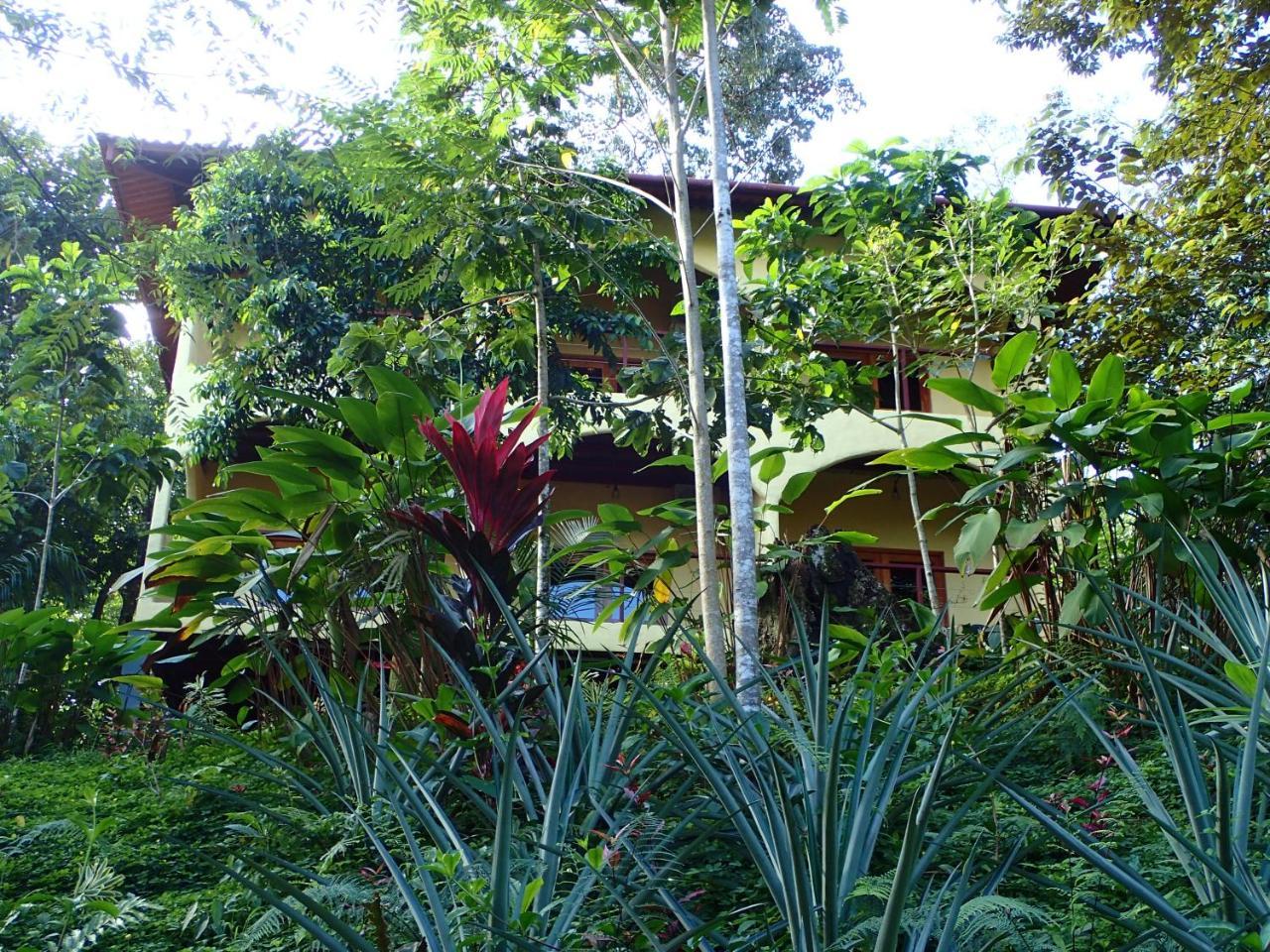Morrillo Beach Eco Resort Экстерьер фото