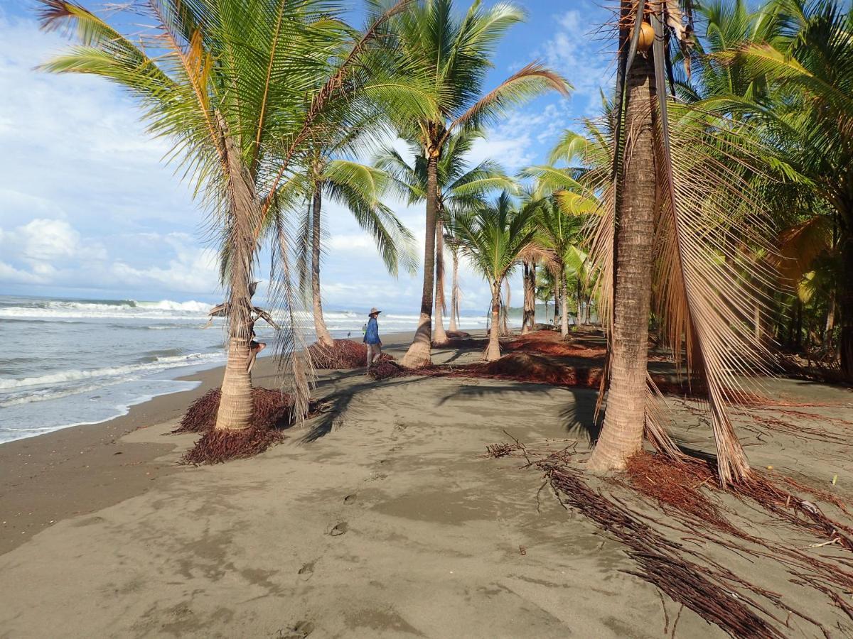 Morrillo Beach Eco Resort Экстерьер фото